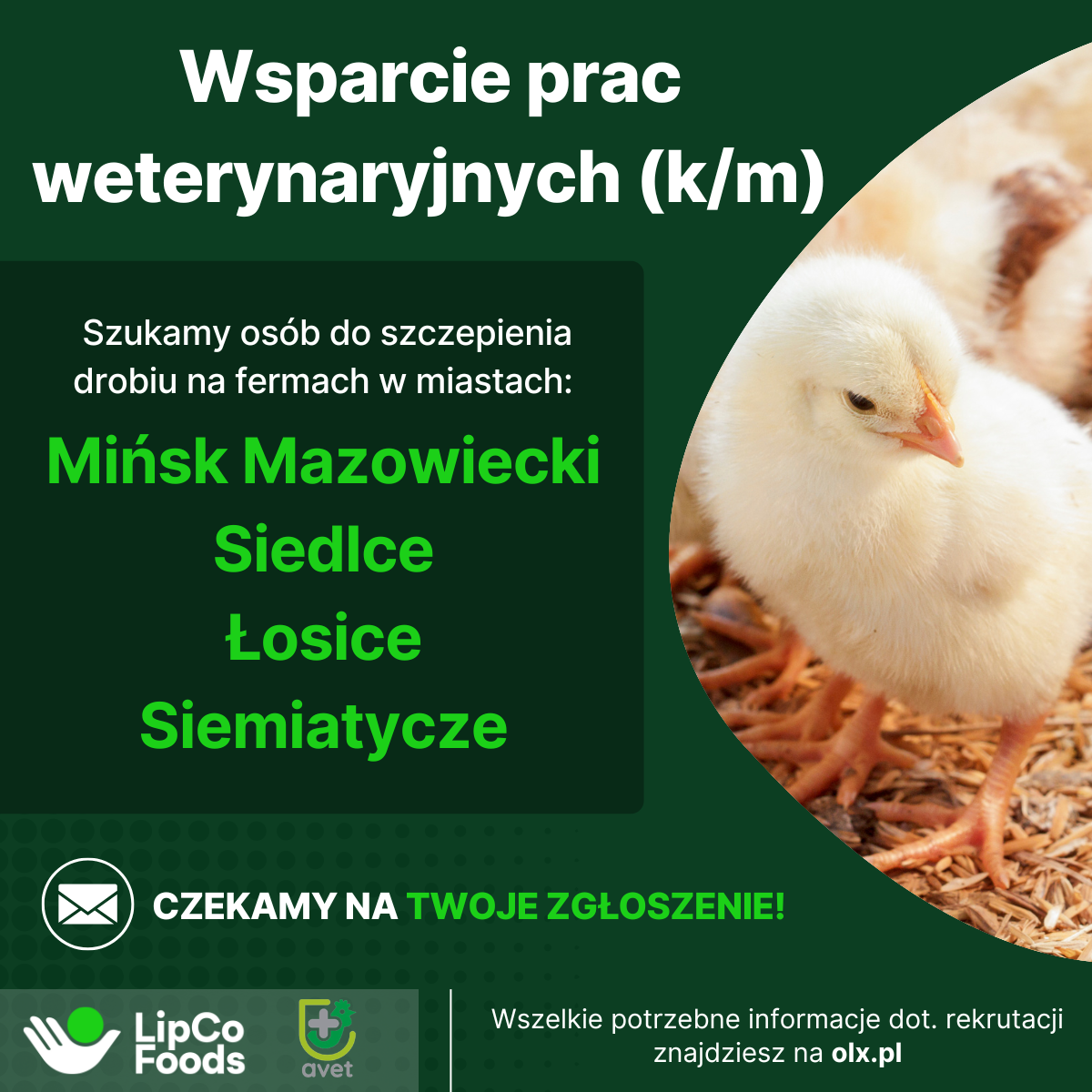 plakat - ogłoszenie o pracy w avet
